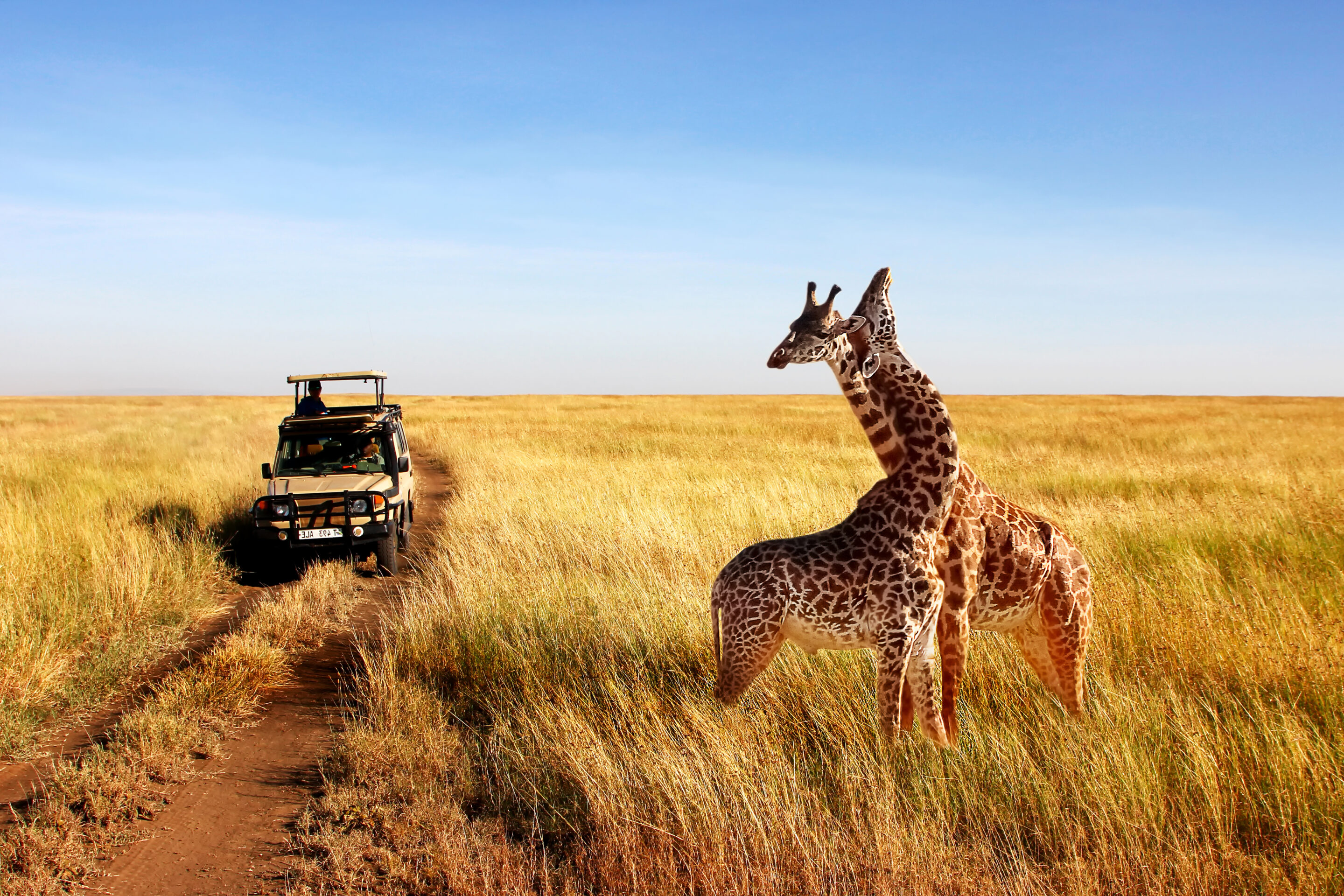 Safaris en Tanzanie, Kenya et Afrique du Sud Partirensejour.com