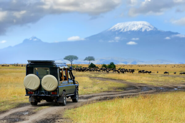 safari en Afrique du Sud partirensejour.com