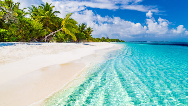 vacances Maldives pas chères